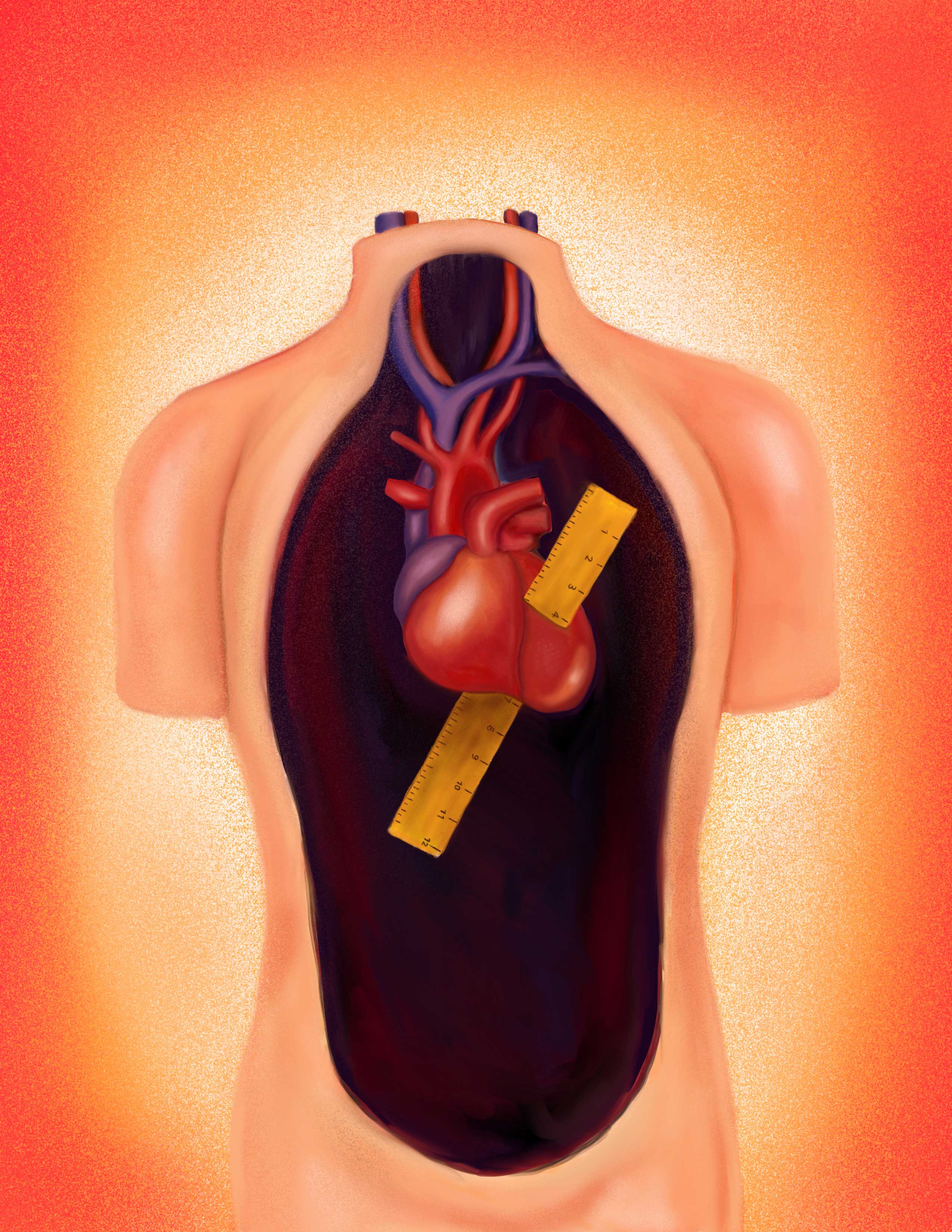 Measure of the heart